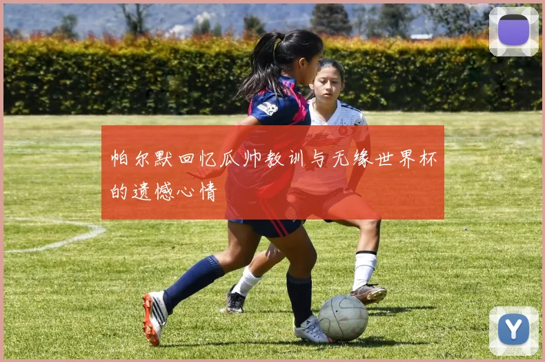 帕尔默回忆瓜帅教训与无缘世界杯的遗憾心情