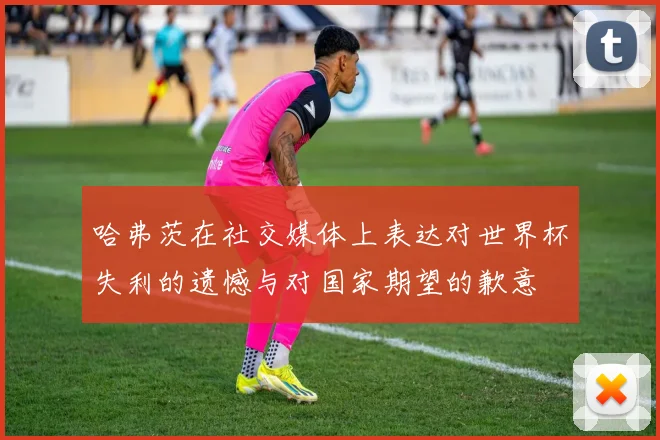 哈弗茨在社交媒体上表达对世界杯失利的遗憾与对国家期望的歉意